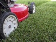 OPC Home & Garden